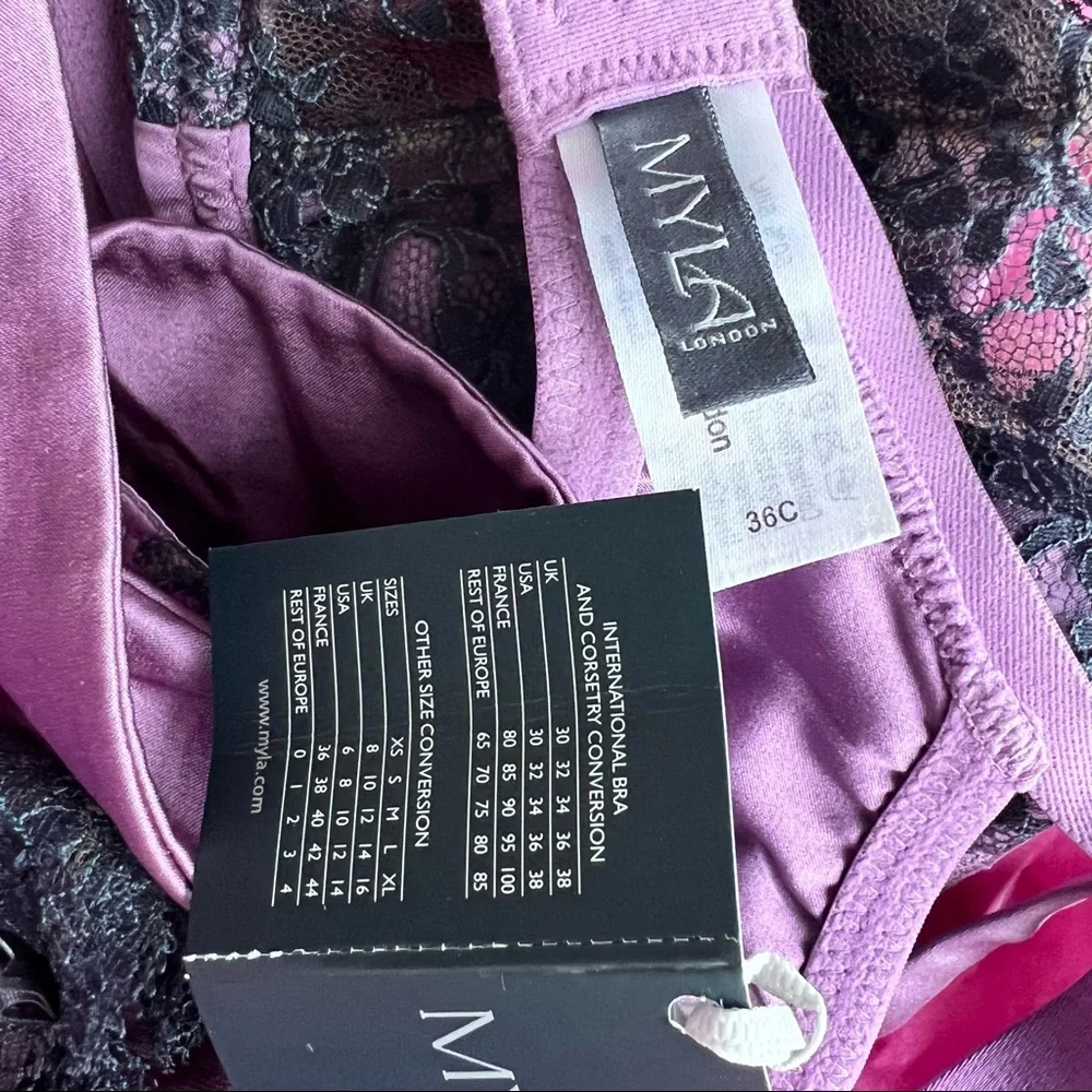 COPY - Myla lingerie 3 Bras~2 Panties ~ All Silk ~Treasure Box 36C/M panties - Picture 5 of 17